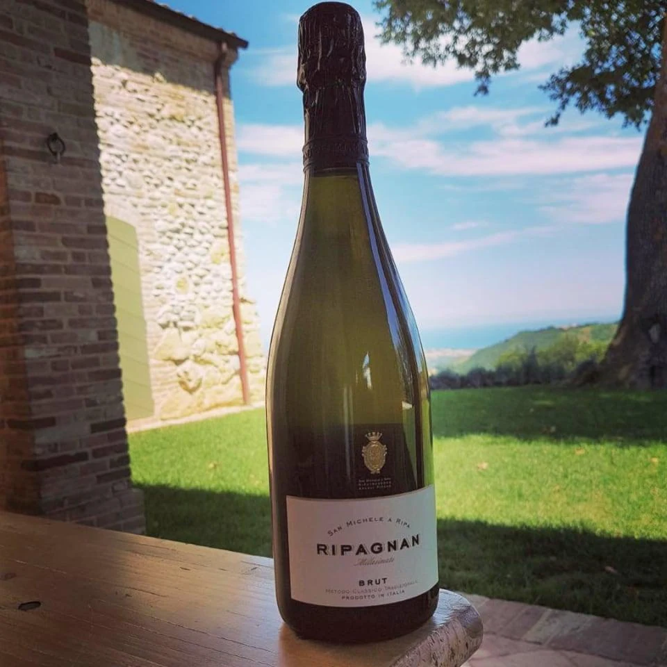 Ripagnan Vino Spumante Bianco Millesimato